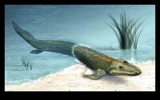 Fishy Firsts Momente de pionierat în pescuit 2 Fishy Firsts: Momente de pionierat în pescuit