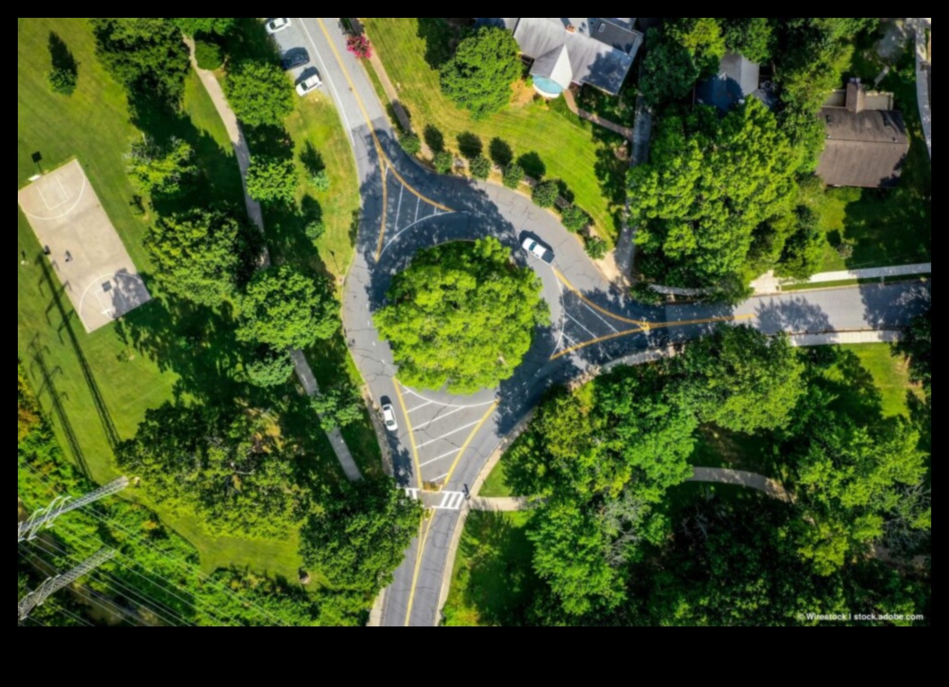 Străzile orașului și verdele bate ritmurile vieții urbane durabile 4 Străzile orașului și ritmurile verzi: ritmurile vieții hibride urbane