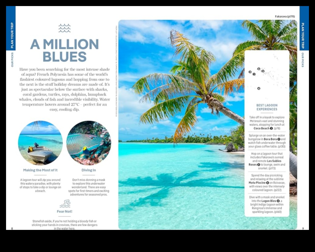 Elysian Elegance A Handbook to Luxurious Global SojournsUn ghid pentru cele mai luxoase destinații de călătorie din lume, de la munții Elveției până la plajele din Tahiti. 2 Elysian Elegance: Un manual pentru șederi globale de lux