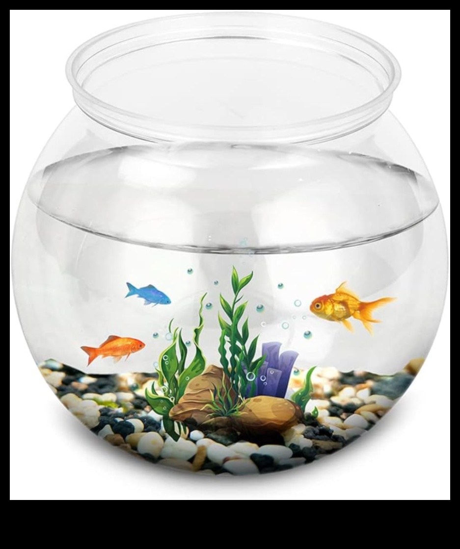 Prezentare de modă a acvariului pentru acvariu cu accesorii 4 Prezentare de modă a rezervoarelor de pește: stilizarea animalelor de companie din acvariu cu accesorii