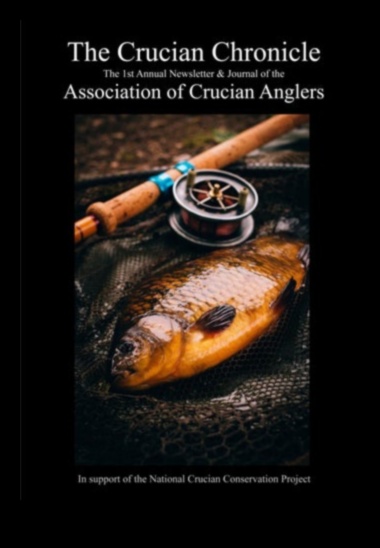 Cronicile de conservare a peștilor Povești de succes în continuare în protecție 4 Cronicile de conservare a peștilor Continuare: Povești de succes în protecție