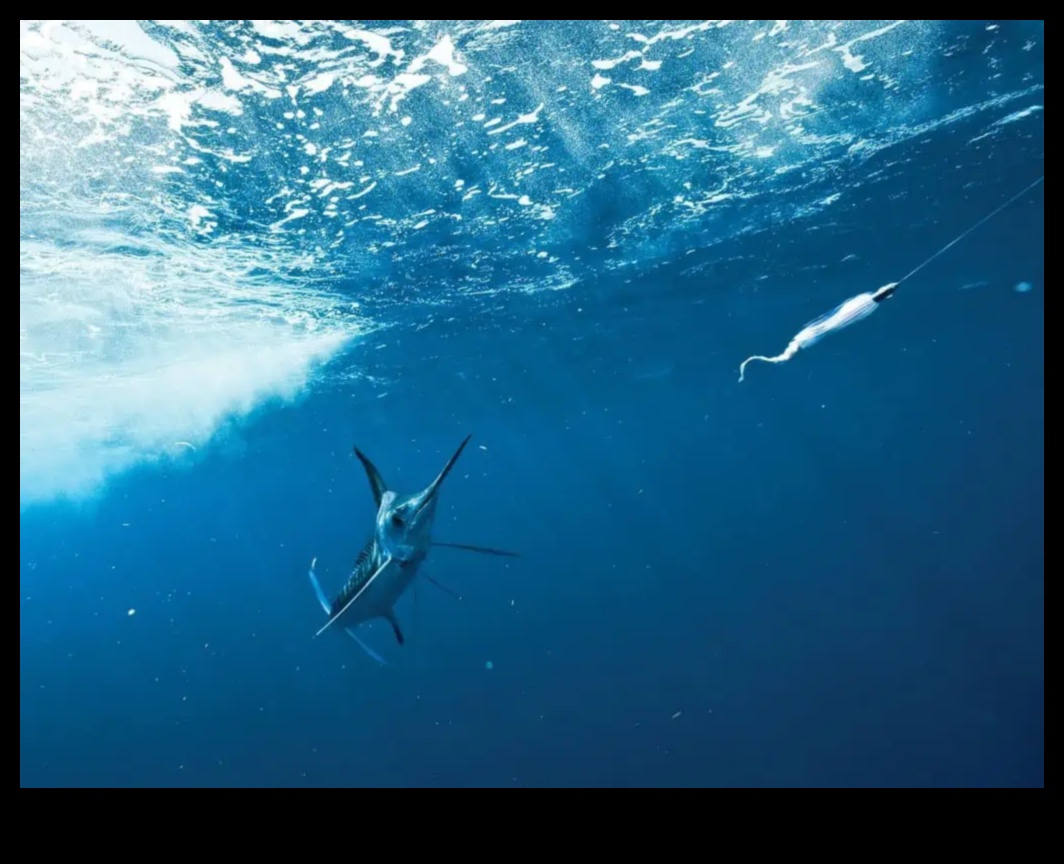 Bait and Switch: Tactici complicate în lumea pescuitului