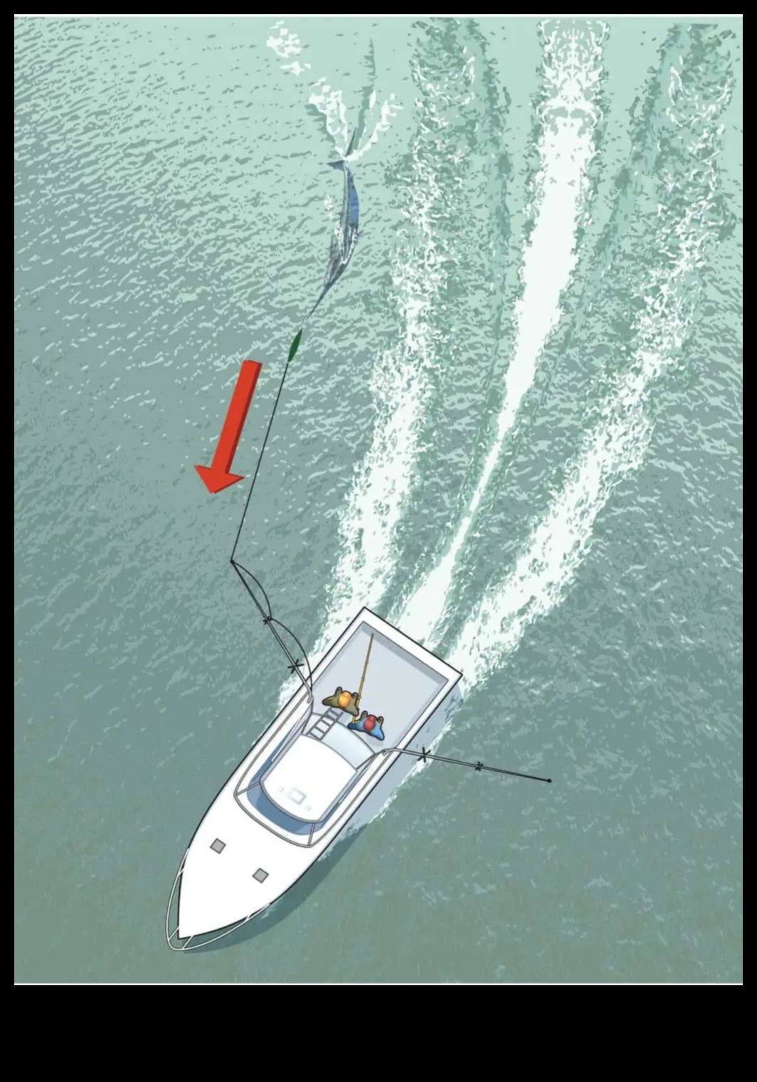 Bait and Switch: Tactici complicate în lumea pescuitului