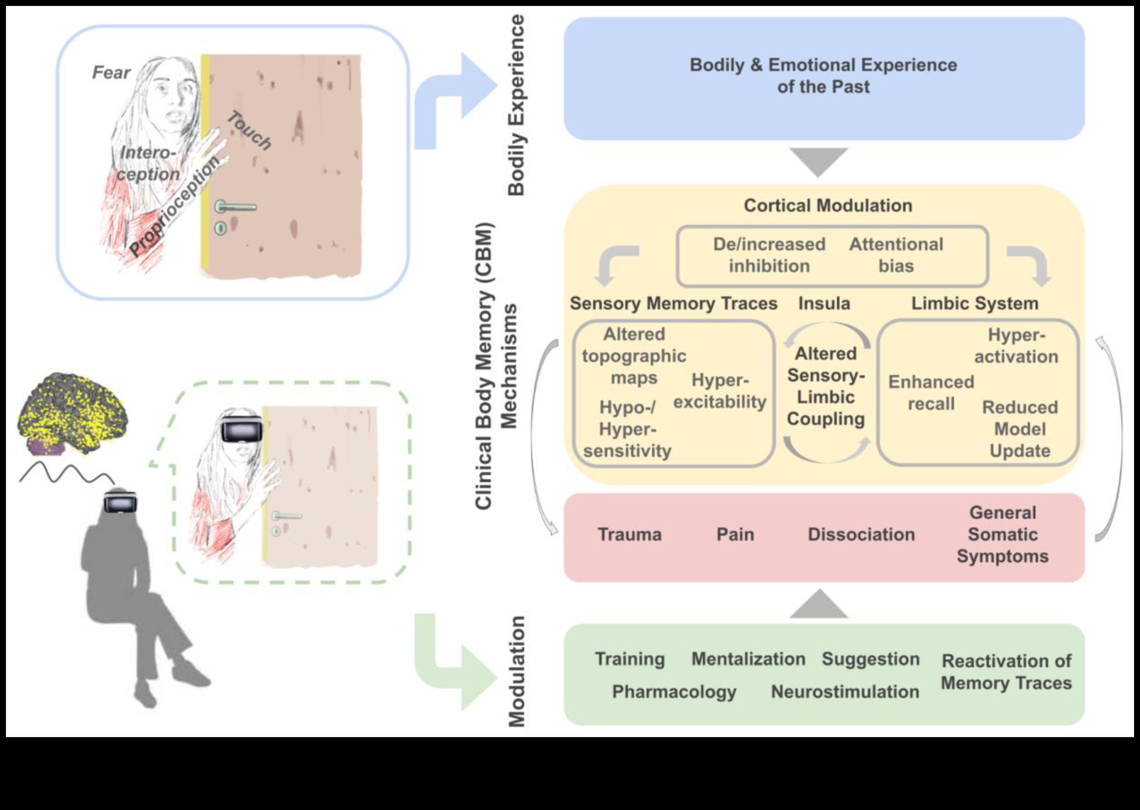 Biotech Resonance: Crearea de impresii de durată cu experiențe de sănătate