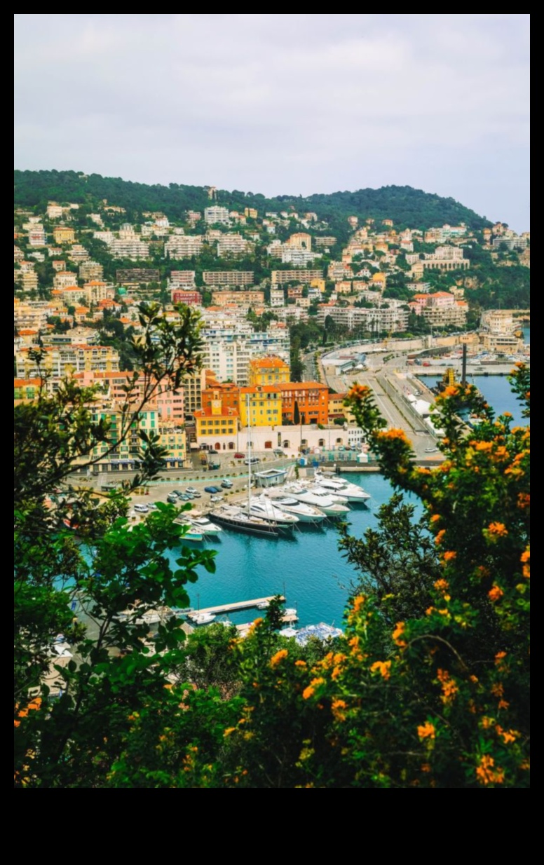 Wanderer's Wonderland Ghidul tău către cele mai uimitoare locuri din lume 2 Tara Minunilor Wanderer's: Companion esential al calatorului