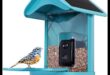 Birdwatcher's Gear 2.0: Echipament esențial pentru o configurație îmbunătățită pentru observarea păsărilor