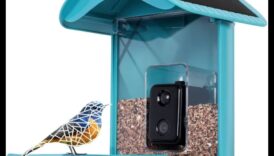 Birdwatcher's Gear 2.0: Echipament esențial pentru o configurație îmbunătățită pentru observarea păsărilor