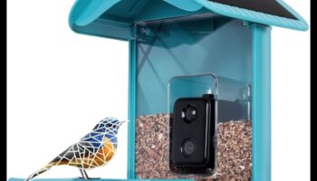 Birdwatcher's Gear 2.0: Echipament esențial pentru o configurație îmbunătățită pentru observarea păsărilor