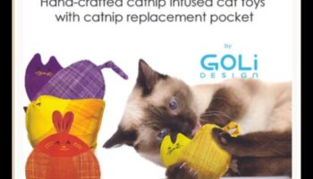 Catnip Craft Corner: Crearea de jucării infuzate cu Catnip