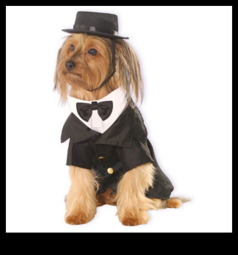 Dapper Doggies Îmbrăcăminte și accesorii pentru animale de companie DIY 1 Dapper Doggies: Îmbrăcăminte și accesorii pentru animale de companie
