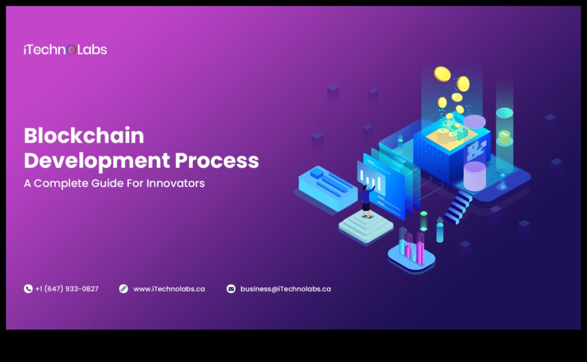 De la concept la cod: un ghid cuprinzător pentru blockchainul profesional