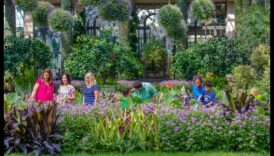 Frumusețea curții din spate: o grădină a deliciilor cu atracții locale