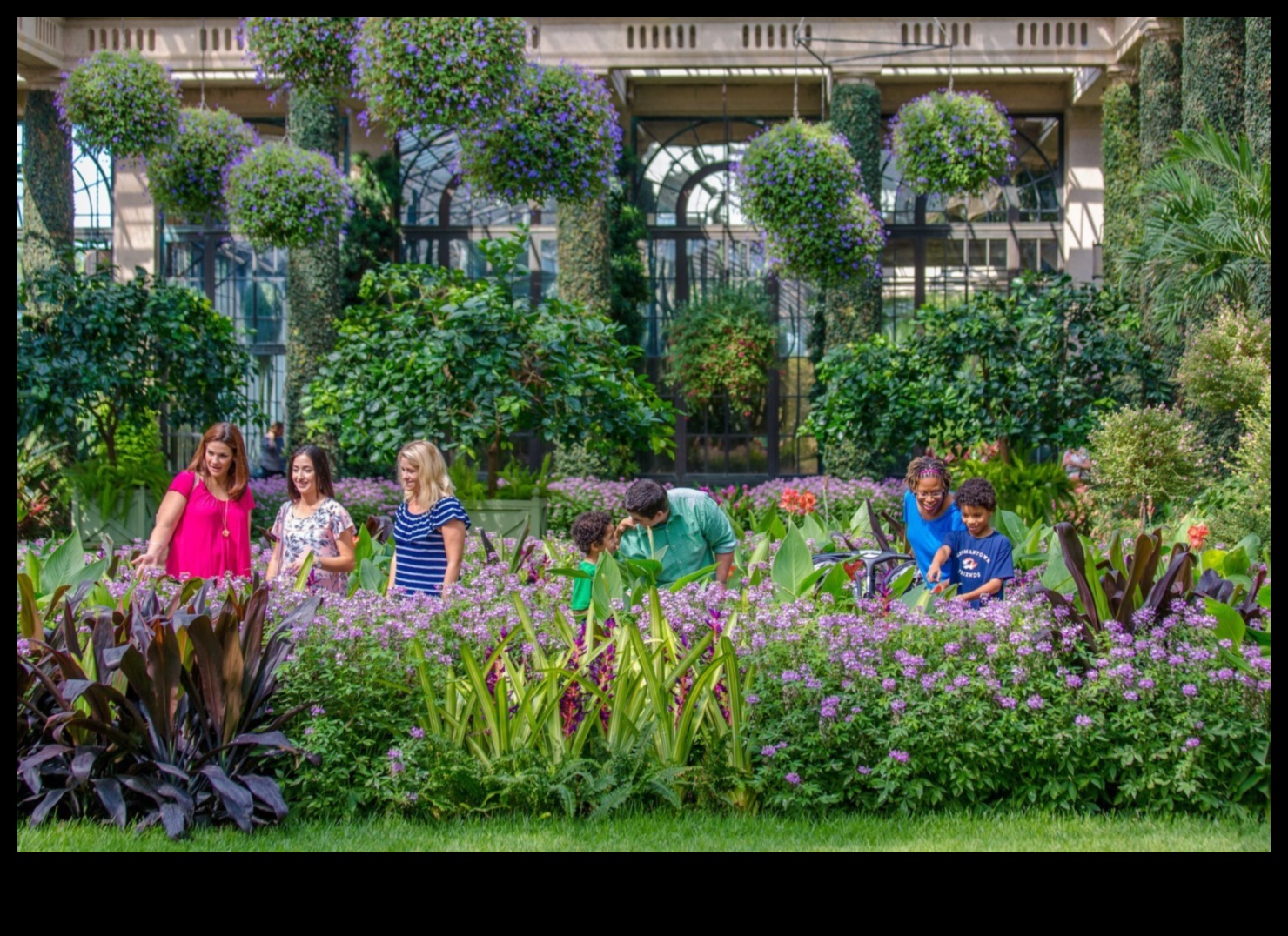 Frumusețea curții Atractii locale Grădina deliciilor 1 Frumusețea curții din spate: o grădină a deliciilor cu atracții locale