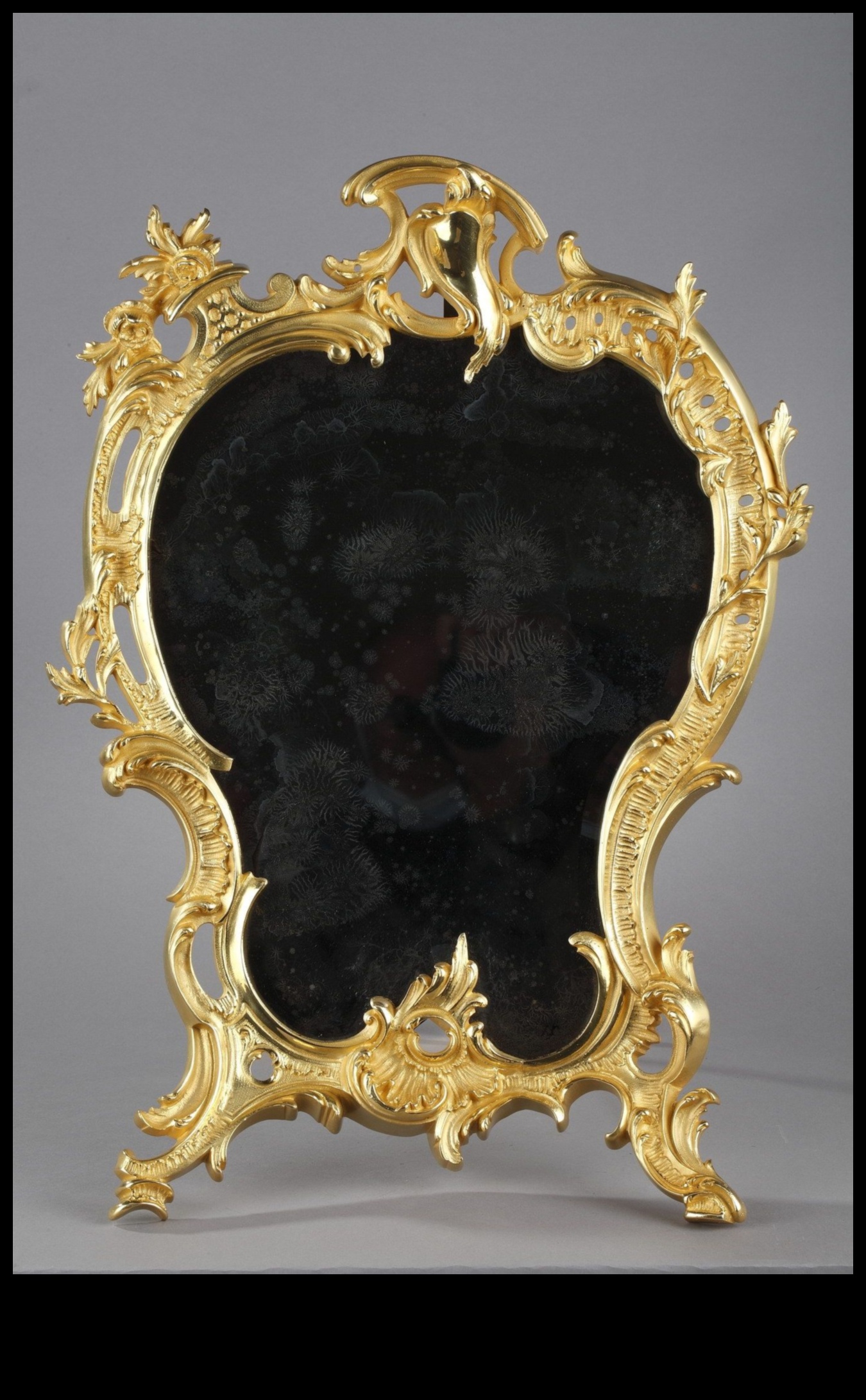 Rococo Rocailles: Motive de scoici în ornamente artistice