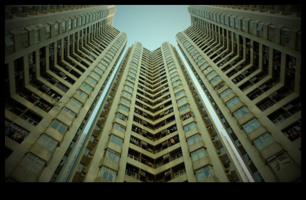 Tărâmul acoperișului: explorarea înălțimilor de cazare