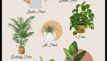 Plante sigure pentru animalele de companie: verdeață pentru o casă prietenoasă cu animalele de companie