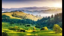 Tara Minunilor Wanderer's: Companion esential al calatorului