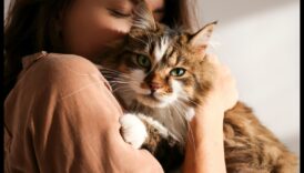 Whisker Watch Observarea și înțelegerea semnalelor de mustață de pisică 5 Whisker Watch: observarea și înțelegerea semnalelor de mustață de pisică